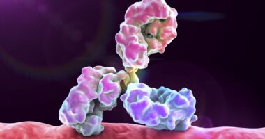 glucocerebrosidase
