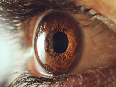 eye, vision, GD3
