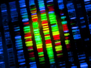 Gaucher genetic testing