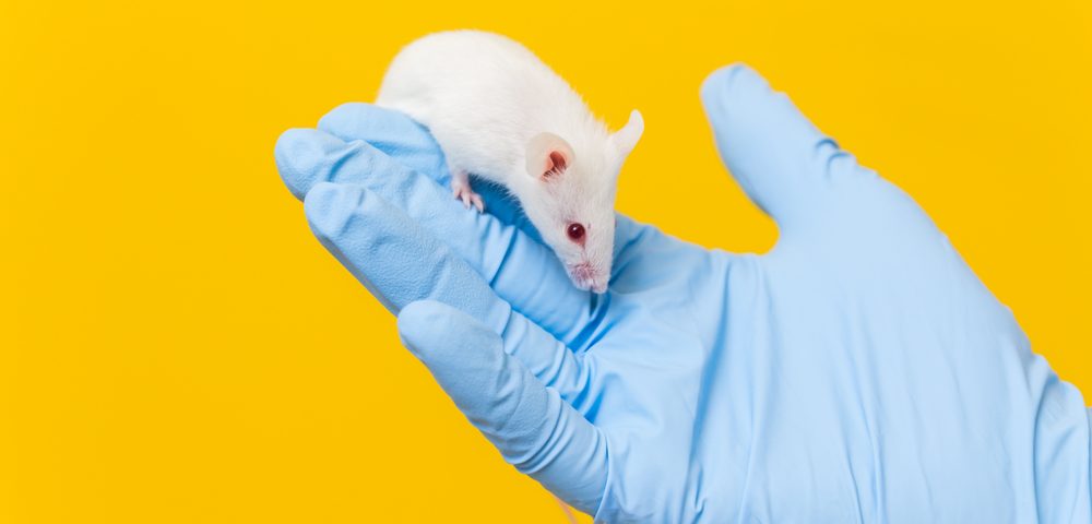 Stem Cell Injections May Treat Gaucher Disease with Brain Involvement, Mouse Study Finds