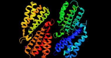 glucocerebrosidase gene