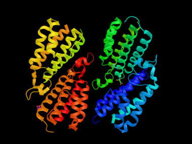 glucocerebrosidase gene