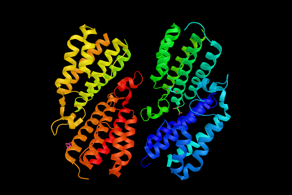 glucocerebrosidase gene