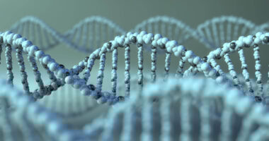 gene therapy