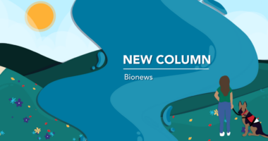 new column banner