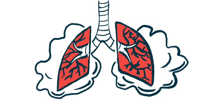 A pair of red lungs connected to a windpipe.