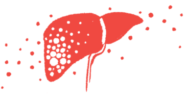 An illustration of the human liver.